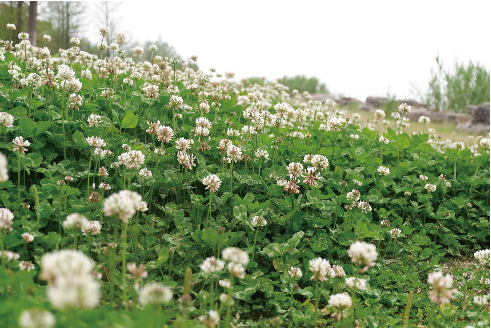 1591671945122554.jpg 年会图片尺寸紧缩-05.jpg